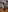 Diosa_AlexandraaMistress Alexandra照片 4