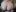 mistress_kashaAss照片 4