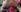 Lexi_Star ✨ Lexi’s Dildo Fun ✨ Pic 2