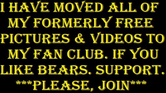 Biggest_BEAR Public Immagine 