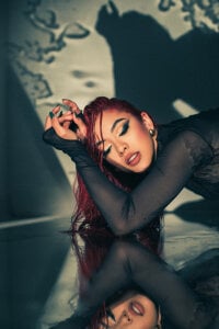 AmmyScott Reflex 사진 7