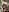 Radiants_two Ari's ass in panties Pic 5