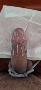 MinhLinh12355 My صورة واحدة|MinhLinh12355 My صورتان|MinhLinh12355 My  4 صور|MinhLinh12355 My  4 صورة