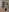 Lollipop_GirlsLengerie照片 3