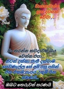 wasalasa Public Pic 2