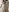 QueenieBrainard Hot Agatha😈 사진 5