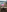 Spandana_Sweety VIBRATOR FUCKING Pic 5