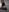 Lilii_villi black Pic 5