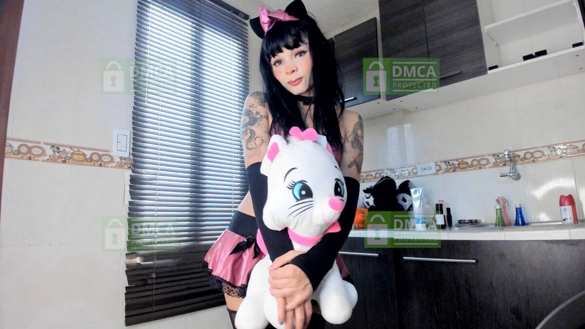 Foto em tendência de Palmer-Foster 7353