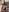 BonnyundClyde19 Neue Dessous Pic 8