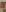 Radiants_two Jess's nude pussy photoset Pic 2