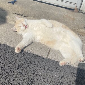 773Nanami Public Pic 2