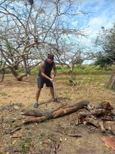 Daax_21 At the Farm ( en la granja) Pic 9