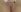 Germangirl1996 pussy <3 Pic 4