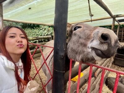 Saelivrae Travel companions Immagine  2