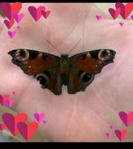 SerxXNatsss Public Poză 7