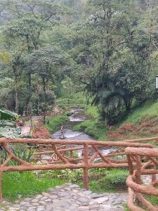 Vale_stone_ Getting to know the coffee axis зображення 9