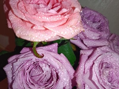 M_Sensual Public Pic 5