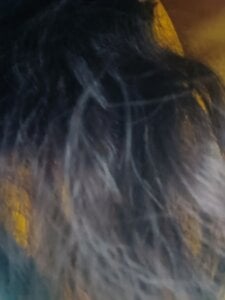 Alishababay Public  2. fénykép