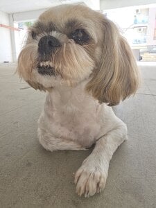 SophiaPotts Part of me صورة واحدة|SophiaPotts Part of me صورتان|SophiaPotts Part of me  6 صور|SophiaPotts Part of me  6 صورة