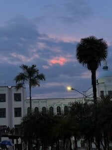 RonaldThompson__ Beautiful things Foto 2