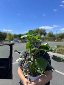 Taste_of_wild Public Pic 2