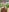 MariaRichi_ Wanna play on my level? Unlock the good stuff — fanclub only Pic 4