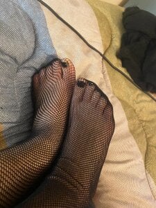 Porcland666Feed Bild