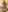 scarlett_sexx69 Christmas 2023 Pic 3
