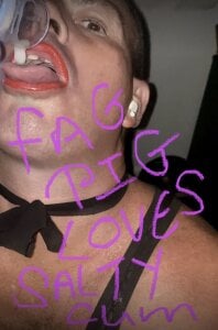 Sissyslavecunt Subsissyboy зображення 2