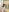 MIYAMOTO_MARINA Naked 裸❤️ Pic