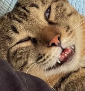 Gxhmelx-xiaoxiao 调皮捣蛋❤️ Pic 2