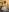 Mikka_Blush Acid explosion Photo 7