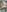 Evelivelyvery hairy照片 3