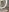 Alyssa_rhoades Make you cum bundle Photo 8