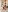SofiaAdamssomething new!照片 8