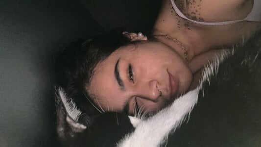 Selen_Extasis My babies and owners of my money🐱🐈‍⬛❤️ Pic 5