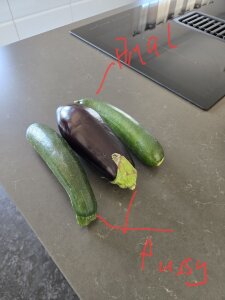 Public od Susi_und_Strolch  8 snímek