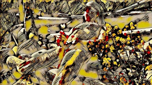 artXhibitor butterfly 사진 2