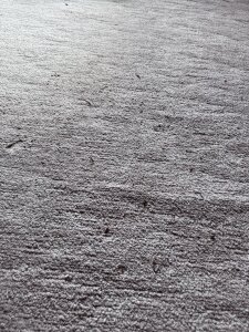 Public de 69Armand69 Foto 6