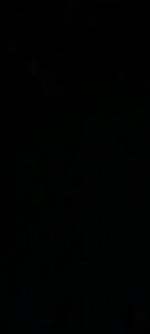 tyteo1010 Public 사진 3