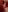 _AngelMoon_ THE QUEEN IN RED Pic 5
