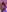 Athenea_Mills 40 HORNY PICS FOR SALE! 🍑 사진 5