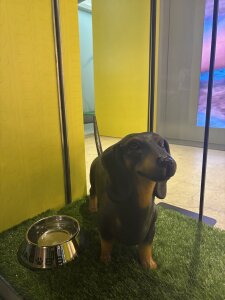 hi_ka_ri0728ぴかりんの日常♡ Bild 4