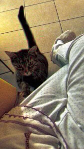 HoneyHaven_の🐾🌙🍃の 4枚の写真