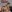 Jazmin_smith12: harness ( 7 фото)