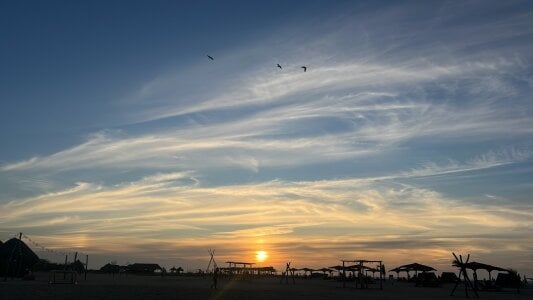 gabbiefoxthx 🌊 🪸⚓️  2টি ছবি