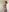 willow_fox (secret photo) Pic