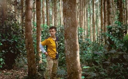 rosewood_moon In the woods  6. fénykép