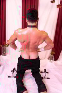 MagnusKnight_ 🔥 Passion runs through my veins. зображення 2